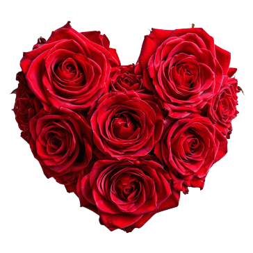 Любовь ❤ 